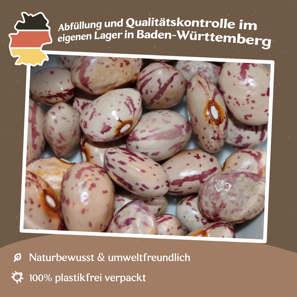 Stangenbohne Borlotto Lingua Di Fuoco 3 Samen