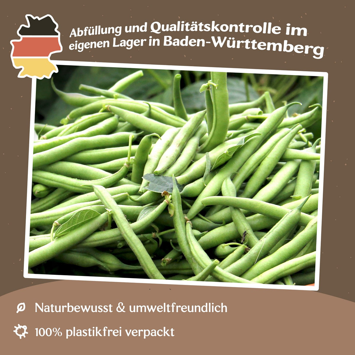 Buschbohne Maxi Samen