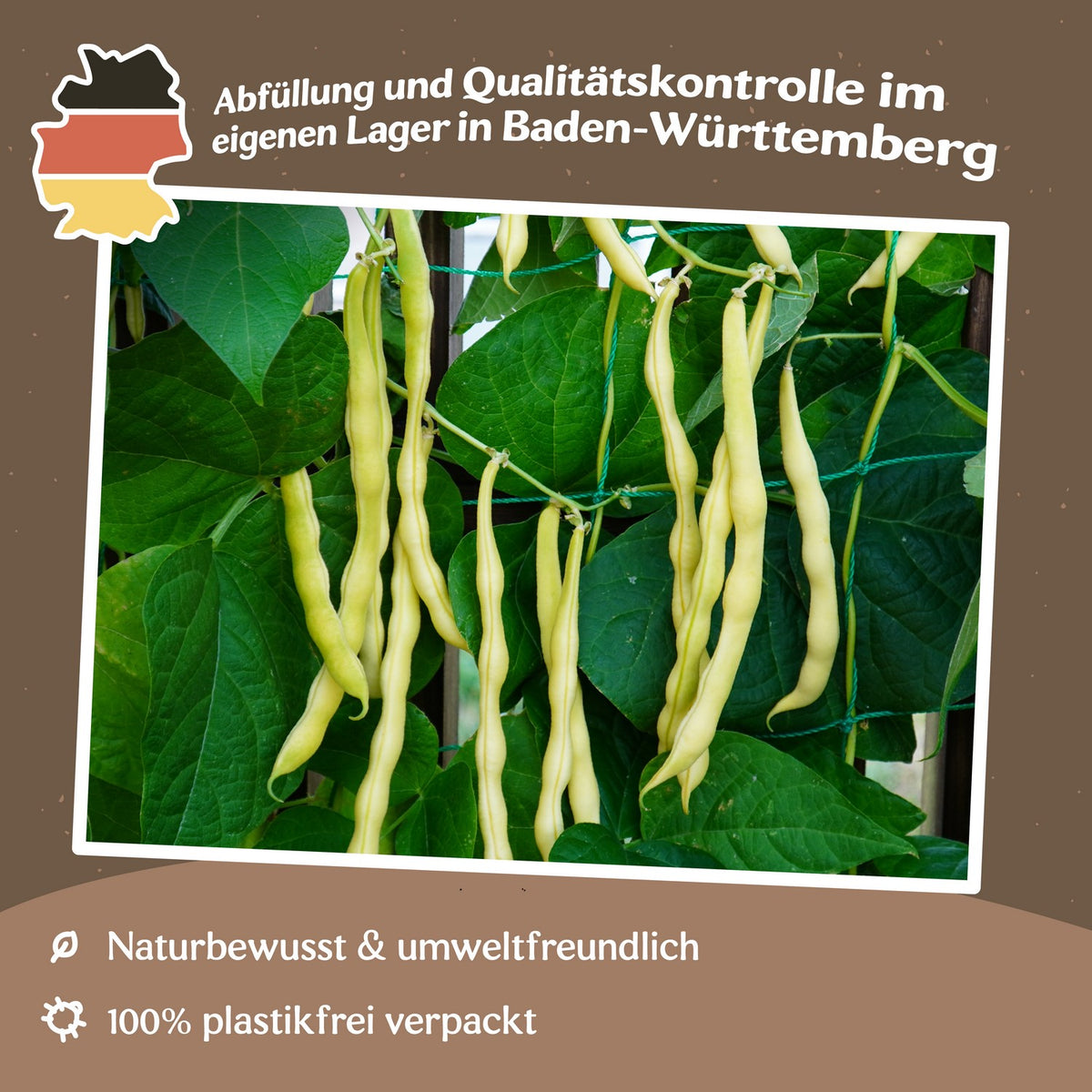 Stangenbohne Neckargold Samen