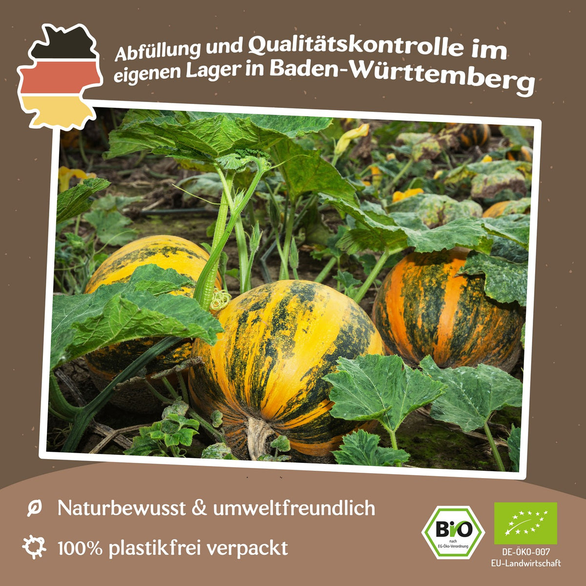 Bio-Ölkürbis Gleisdorfer Samen