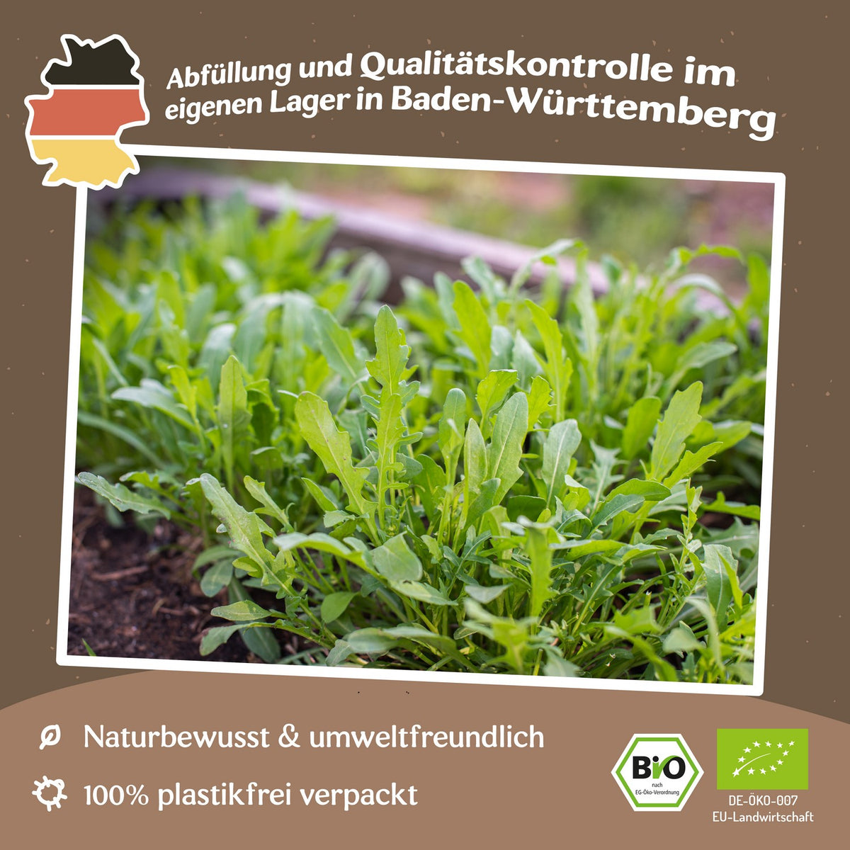 Bio-Rucola Coltivata Samen