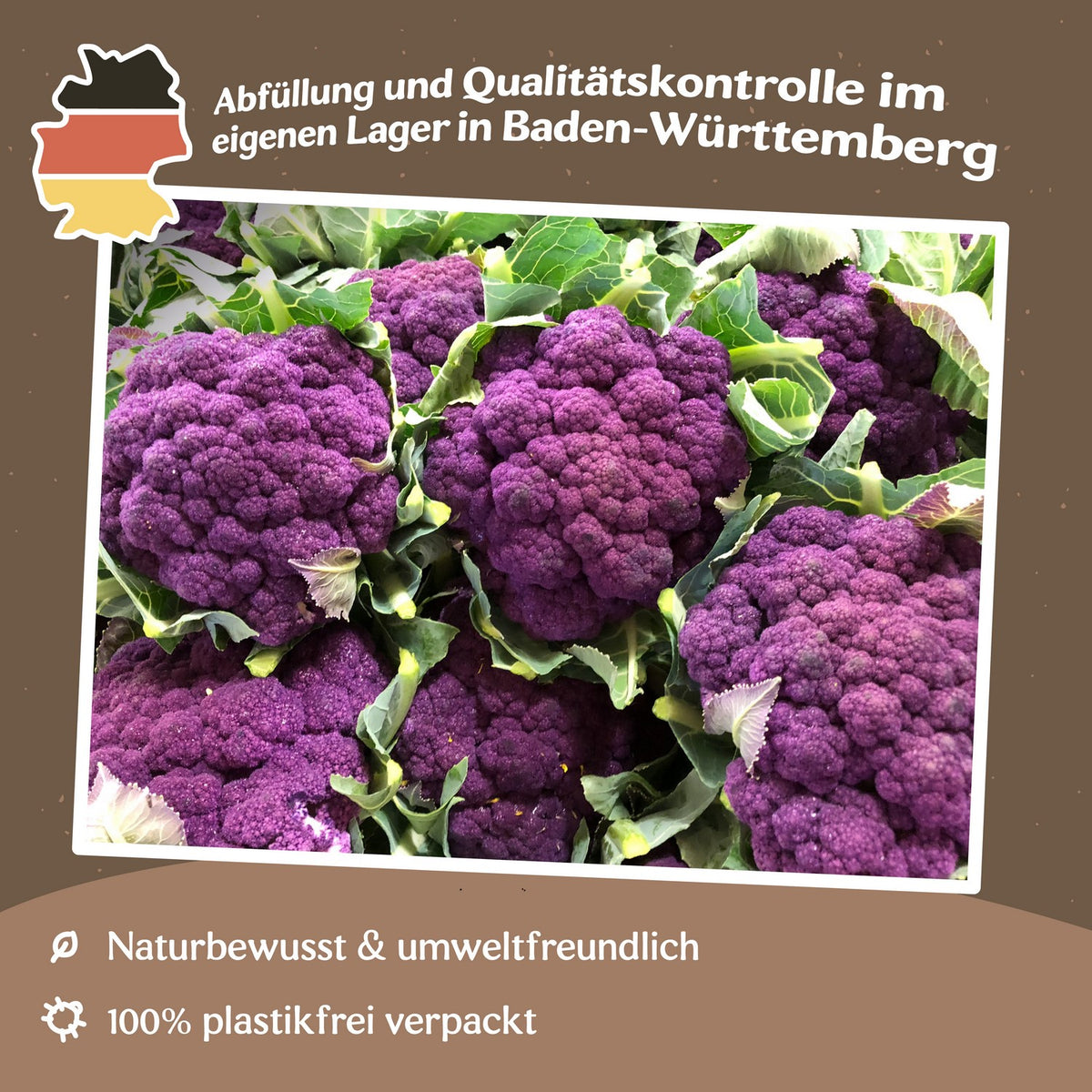 Blumenkohl Di Sicilia violetto Samen