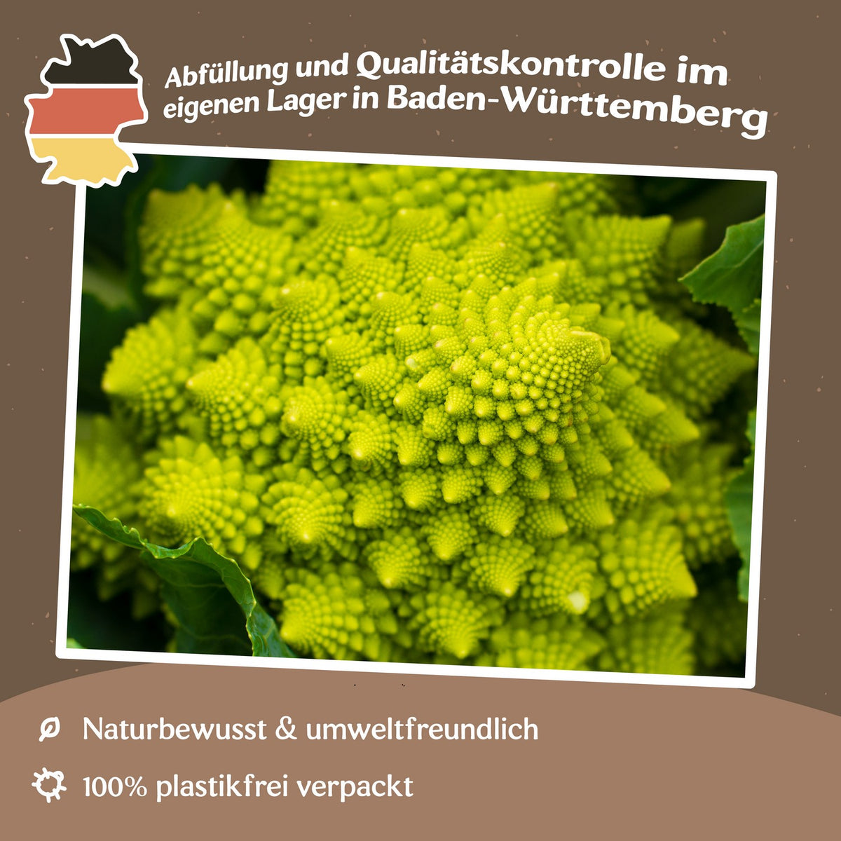Blumenkohl Romanesco natalino Samen