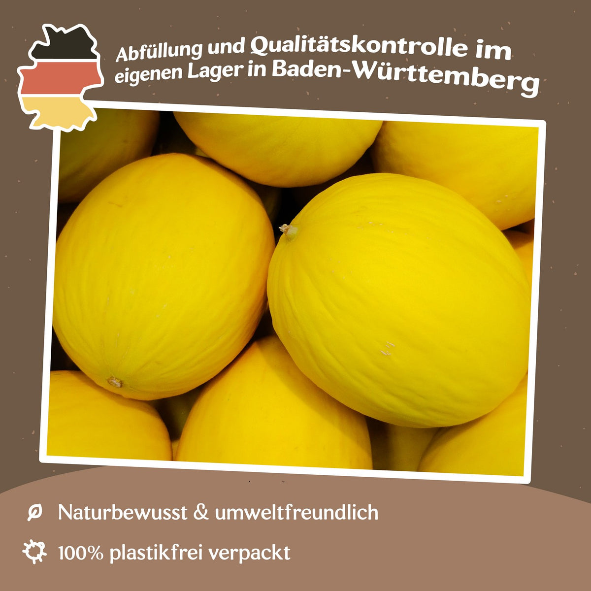 Honigmelone Yellow Canari 2 Samen