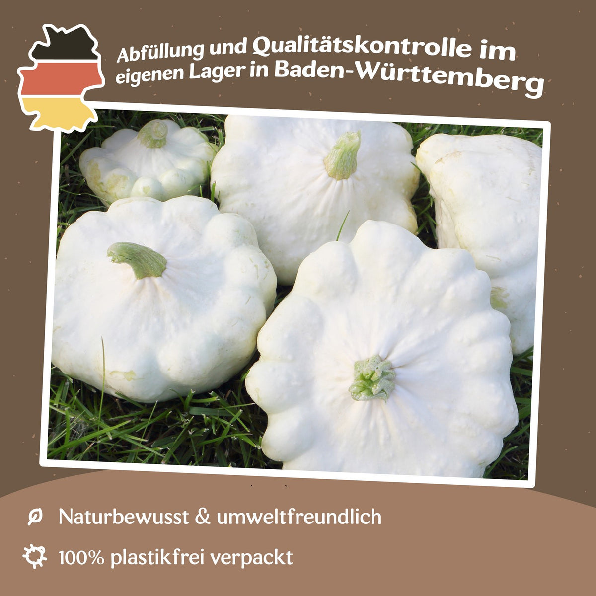 Kürbis Custard White Samen