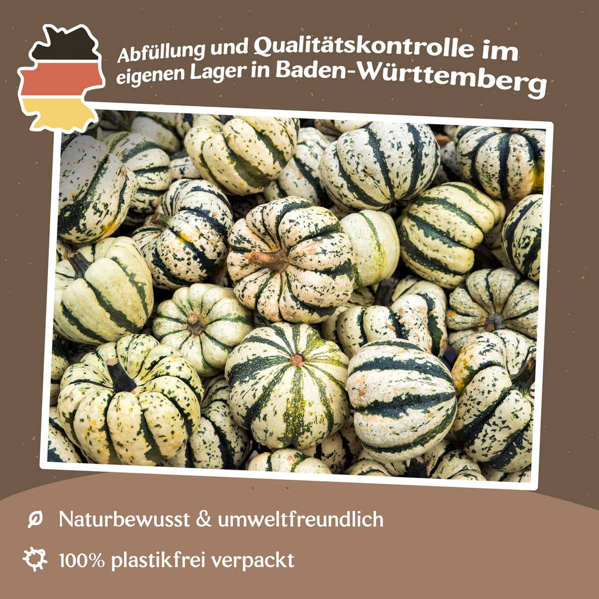 Kürbis Sweet Dumpling Samen