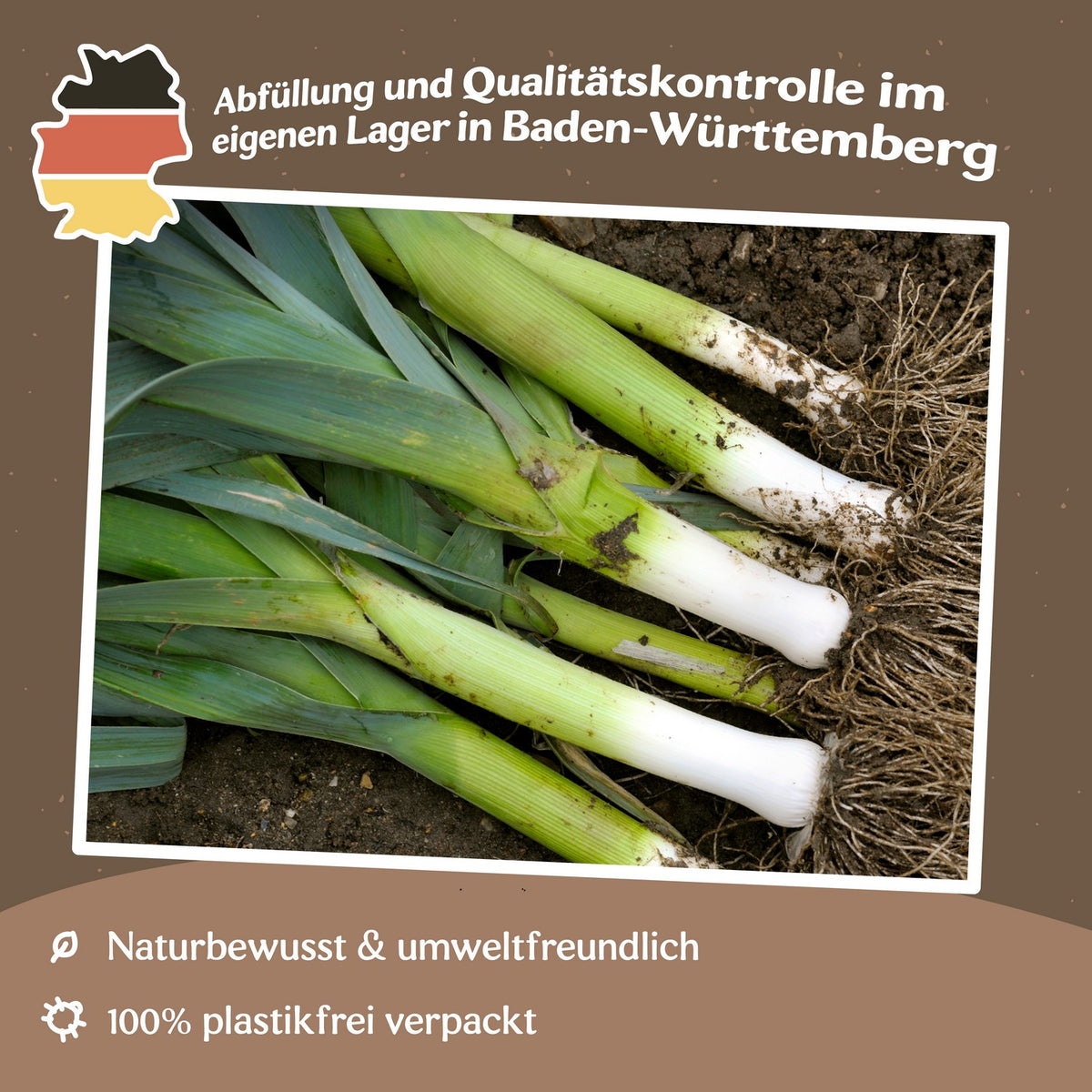 MHD 06/26 Lauch Herbstriesen 2 Hannibal Samen