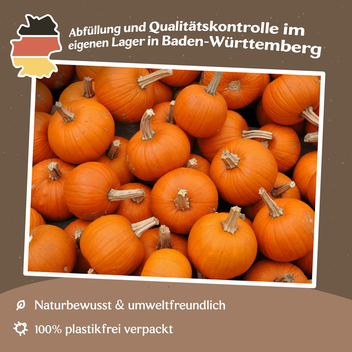 Halloweenkürbis Baby Bear Samen