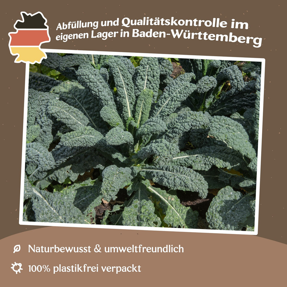 Palmkohl Nero di Toscana Samen