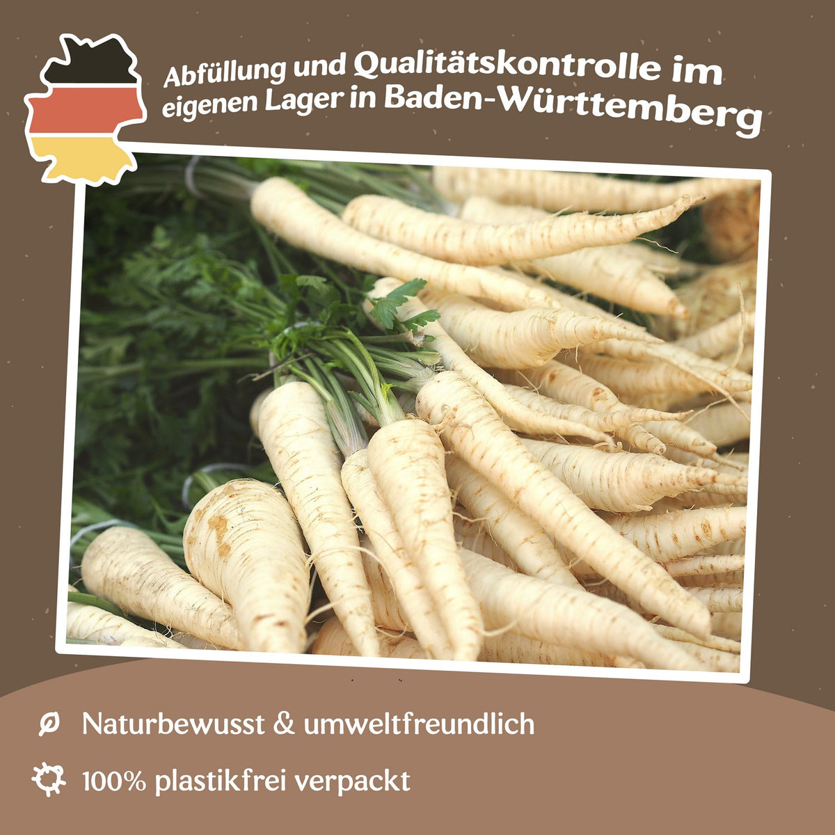 Petersilienwurzel Halblange Samen