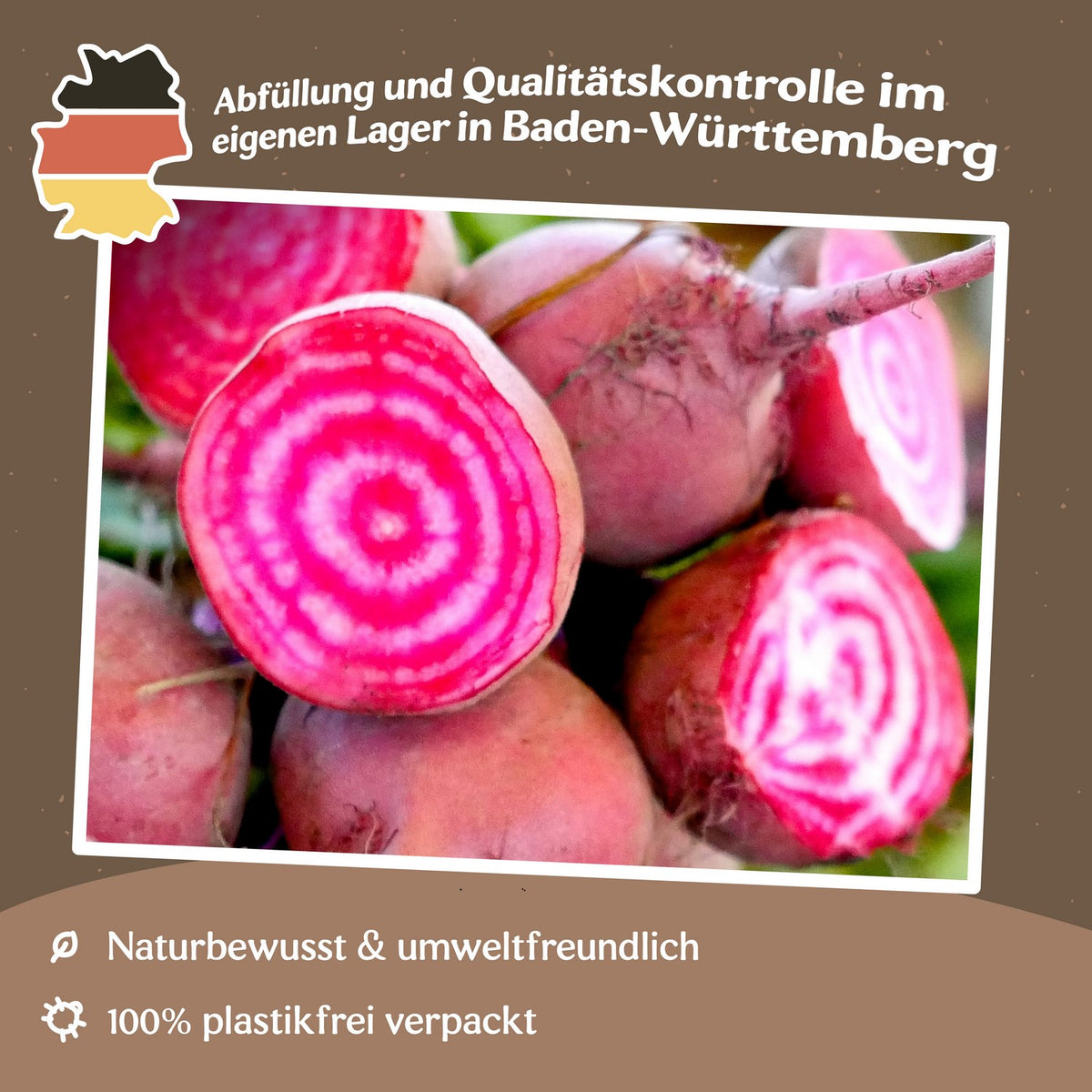 Rote Beete Tonda di Chioggia Samen