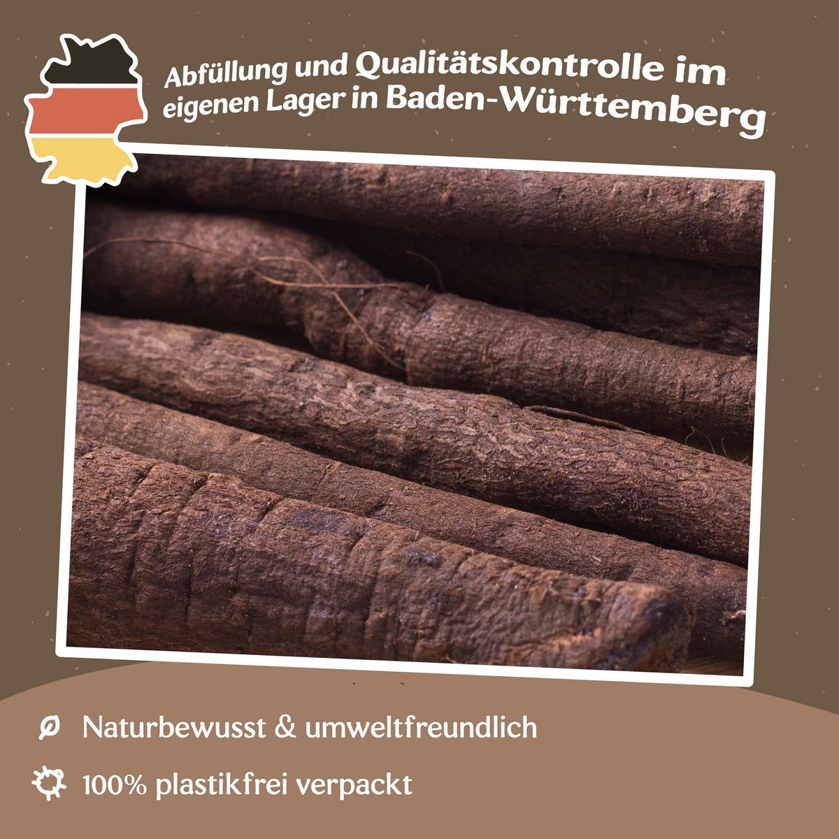 Schwarzwurzel Hoffmanns Schwarze Pfahl Samen