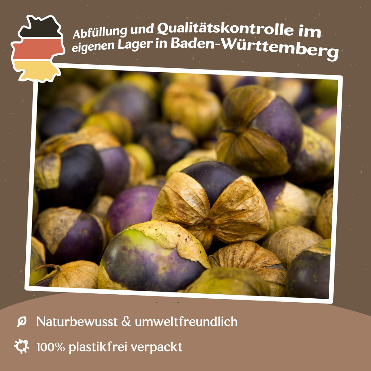 Tomatillo Purple, Physalis ixocarpa Samen
