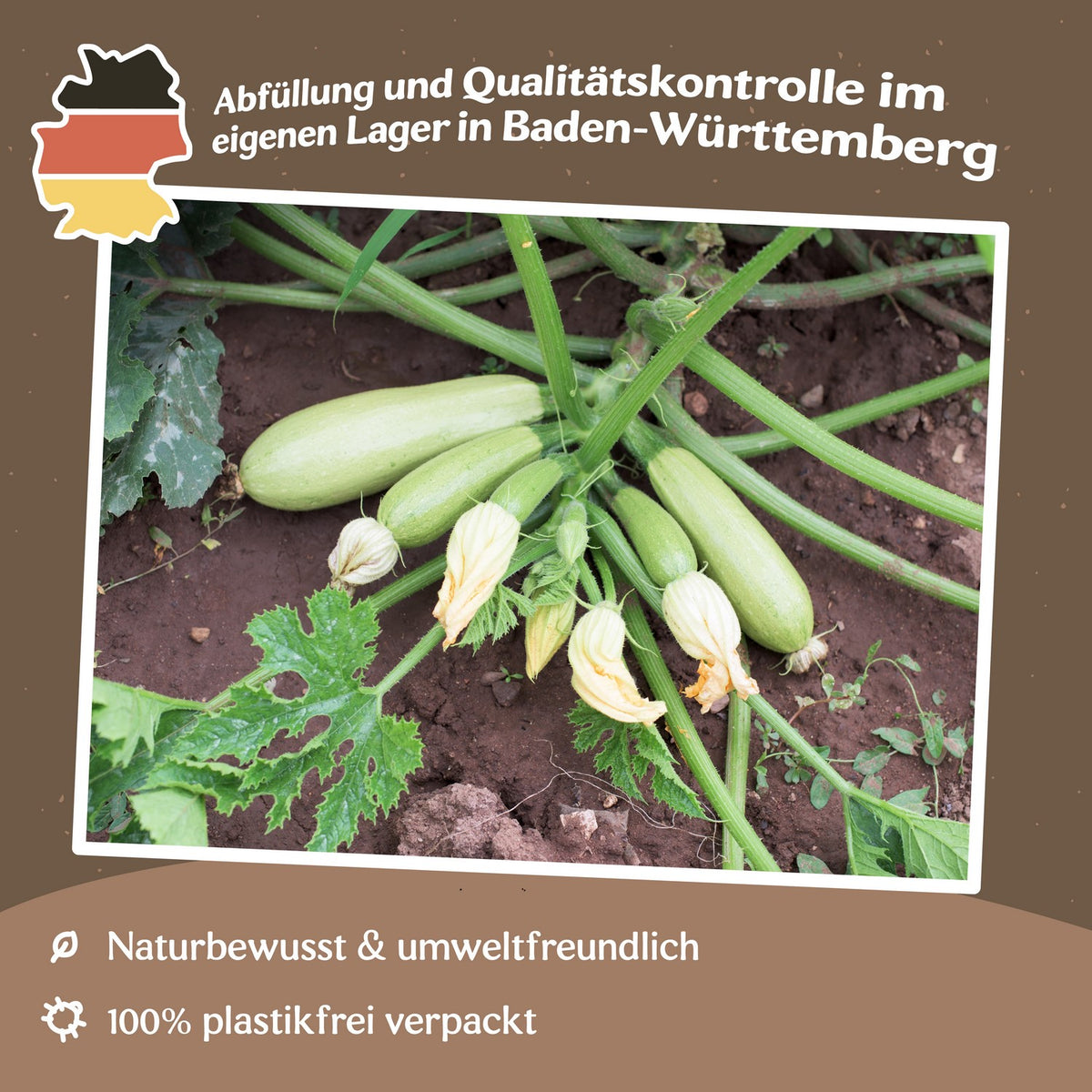 Zucchini Bianca di Trieste Samen