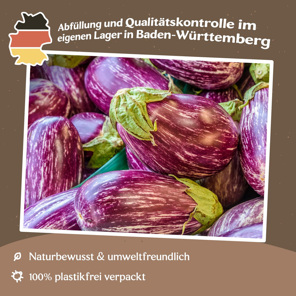 Aubergine Listada de Gandia Samen