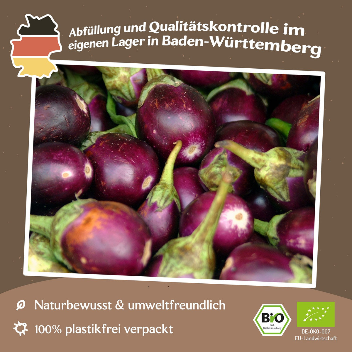 MHD 06/26 Bio-Aubergine Bambino Samen