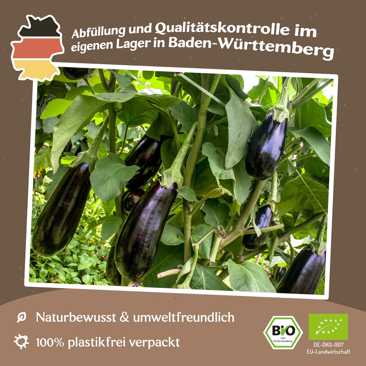 Bio-Aubergine Black Beauty Samen