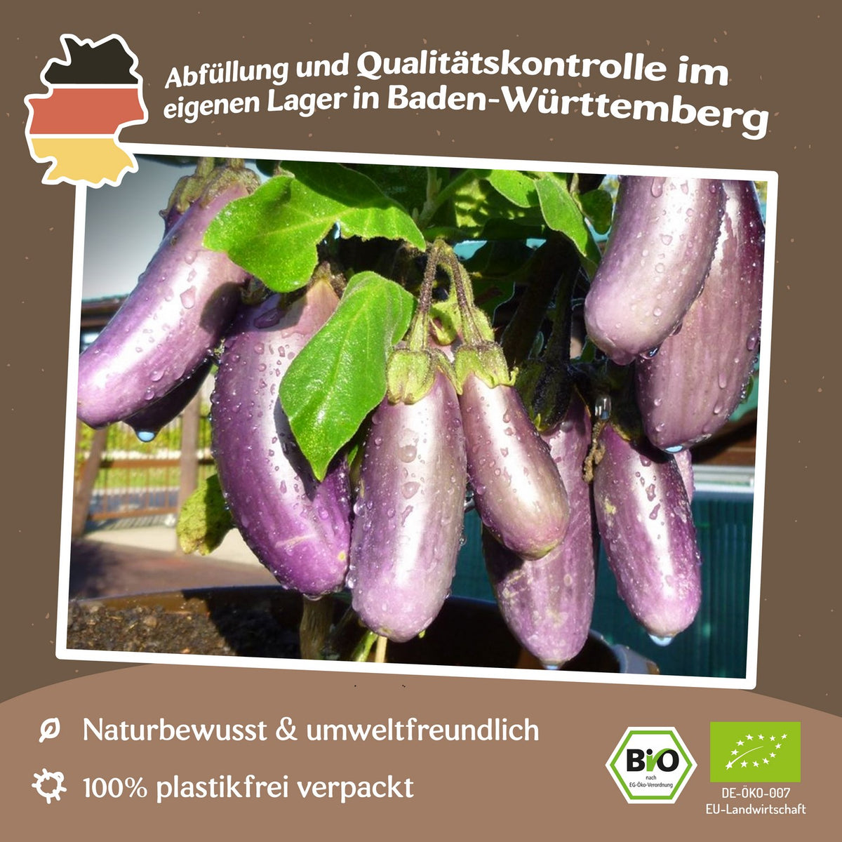 Bio-Aubergine Slim Jim Samen