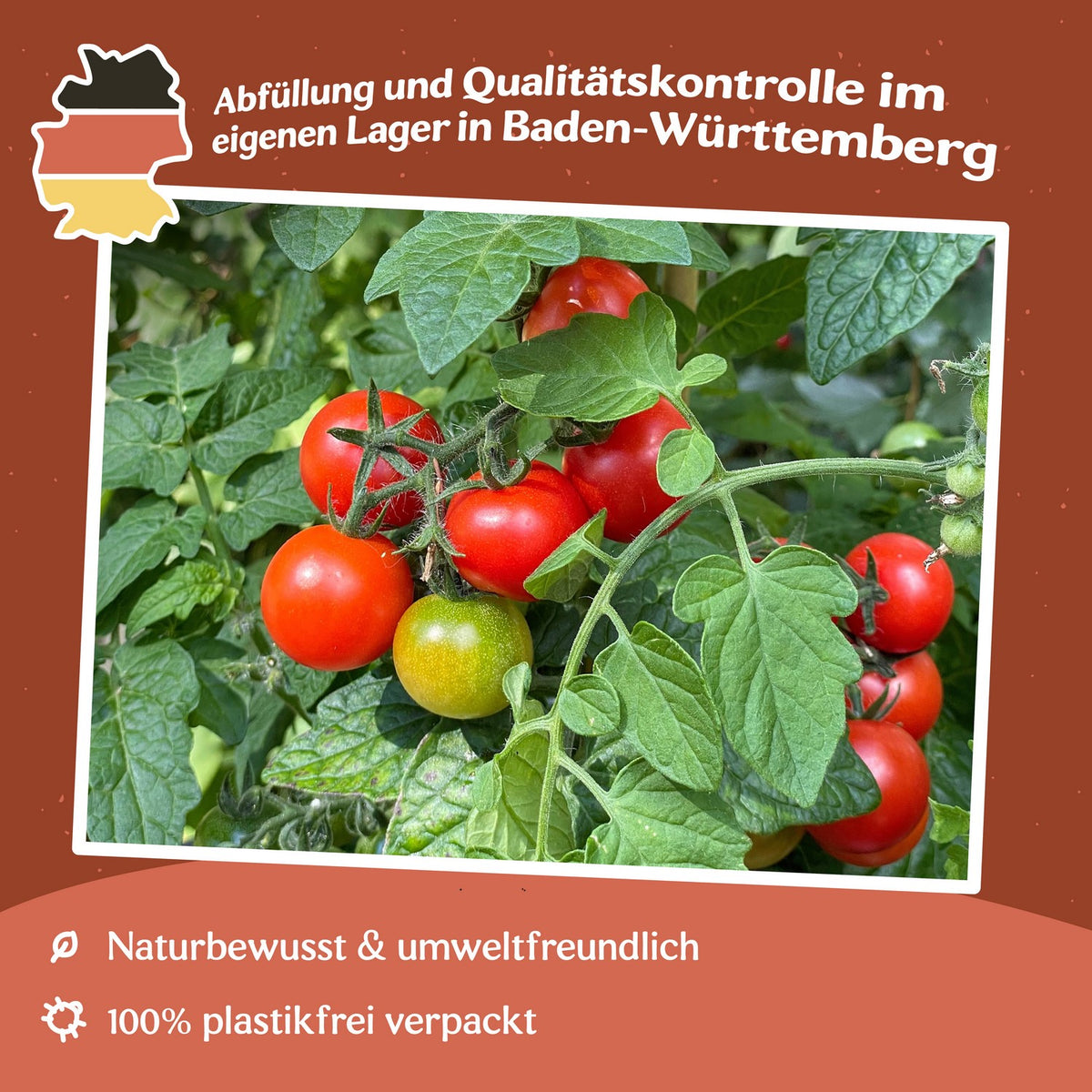 Balkonstar Tomatensamen
