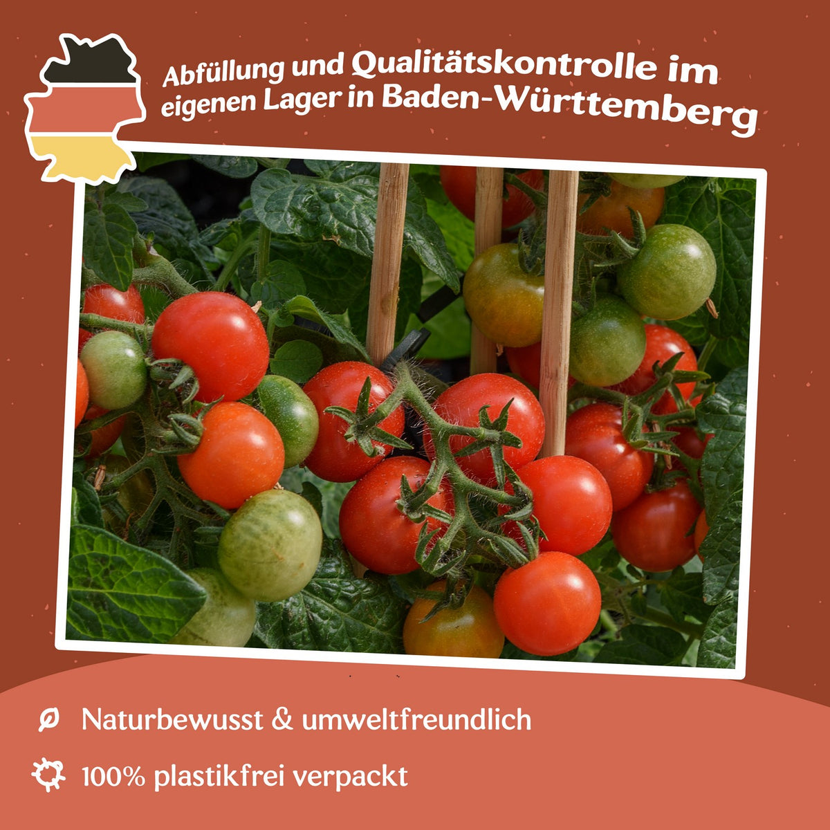 Gourmandise Red Tomatensamen