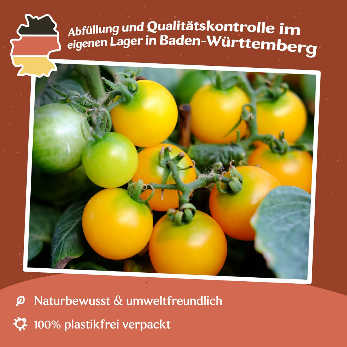 Gourmandise Yellow Tomatensamen