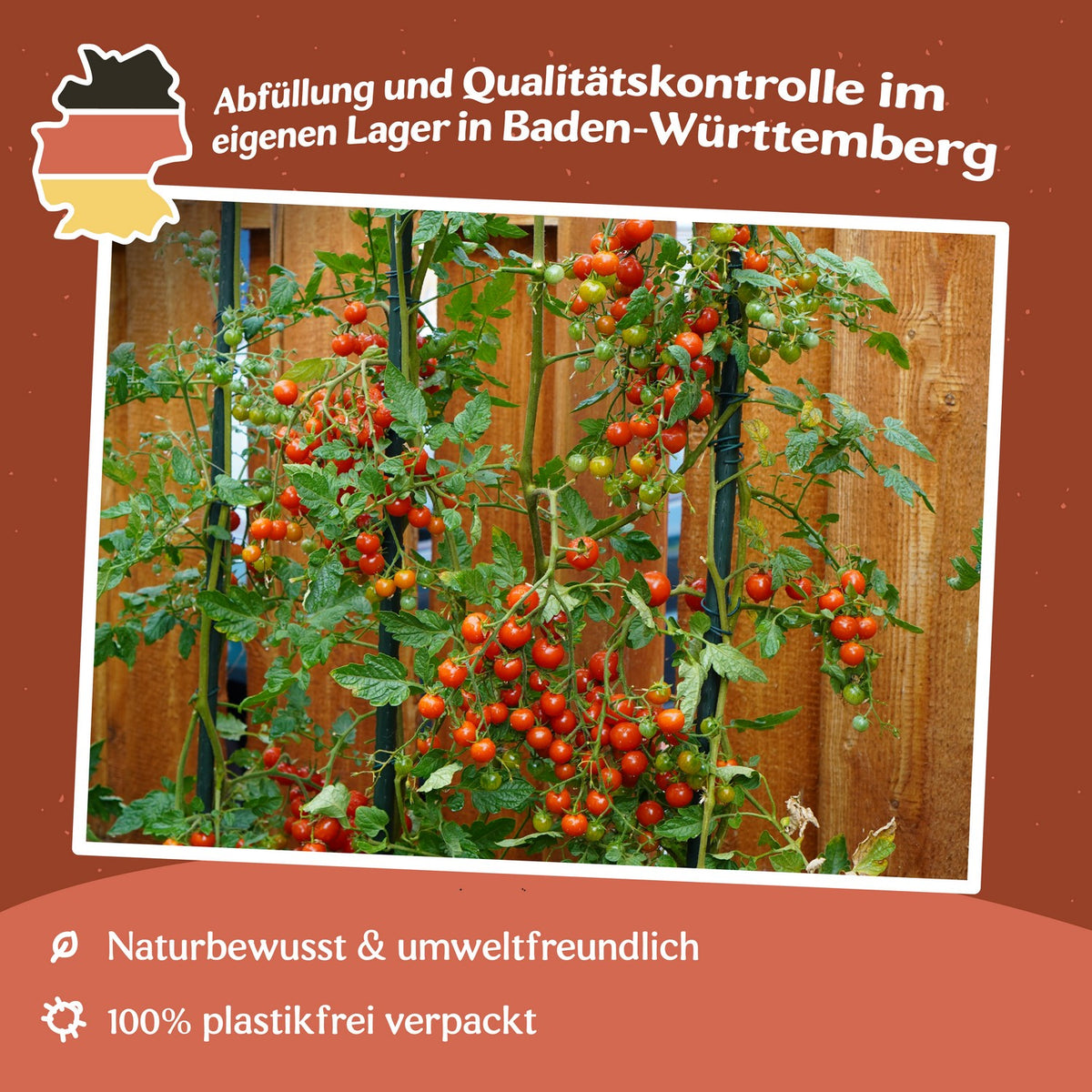 Sweetie Tomatensamen