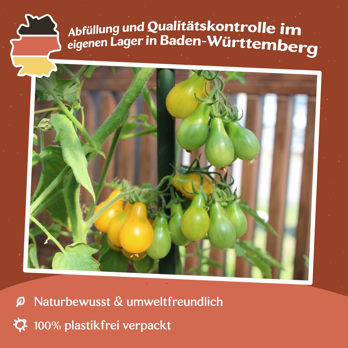 Yellow Pearshaped Tomatensamen