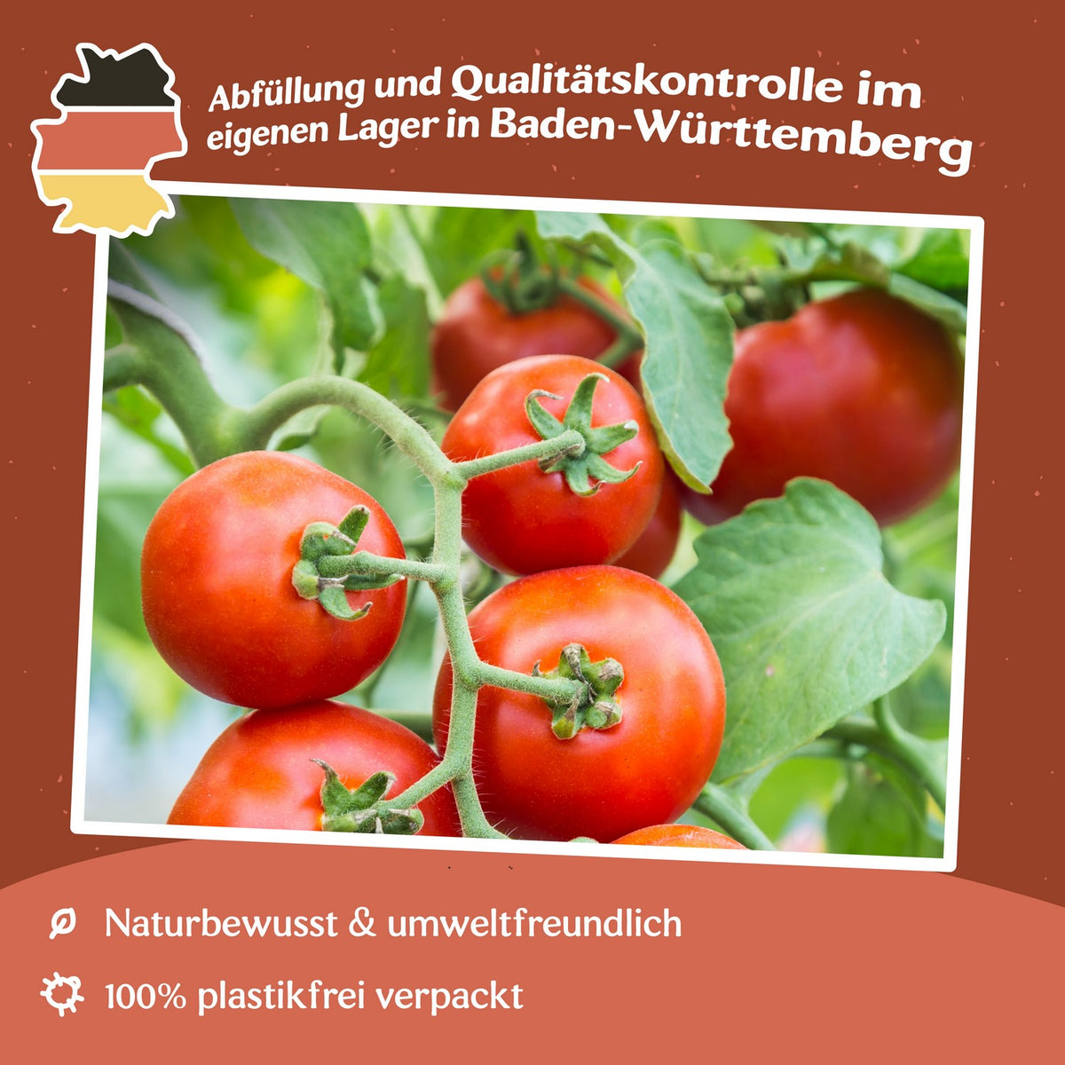 Cocktail Crush F1 Tomatensamen