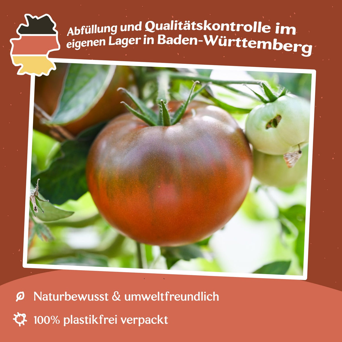 Black Prince Tomatensamen