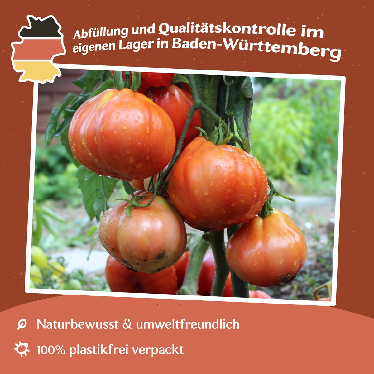 Red Pear Tomatensamen