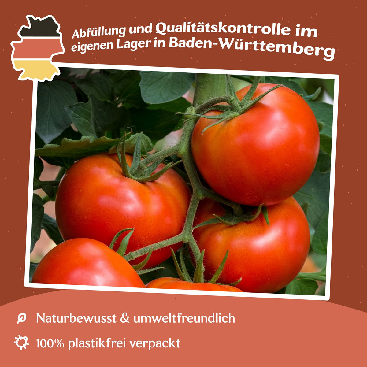 Crimson Crush F1 Tomatensamen