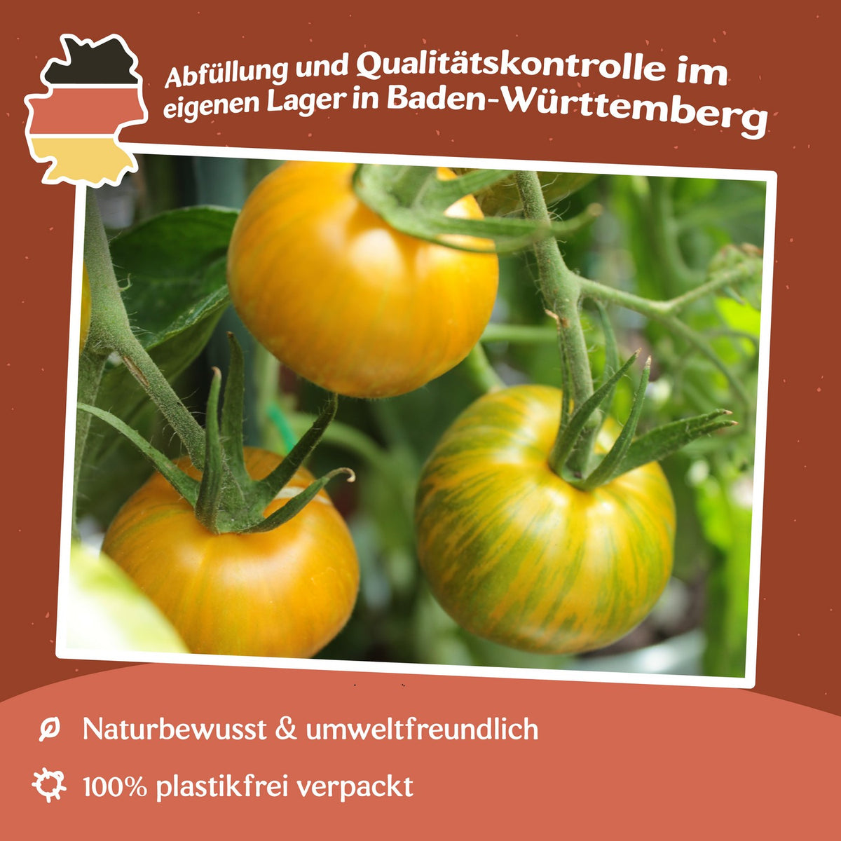 Green Zebra Tomatensamen