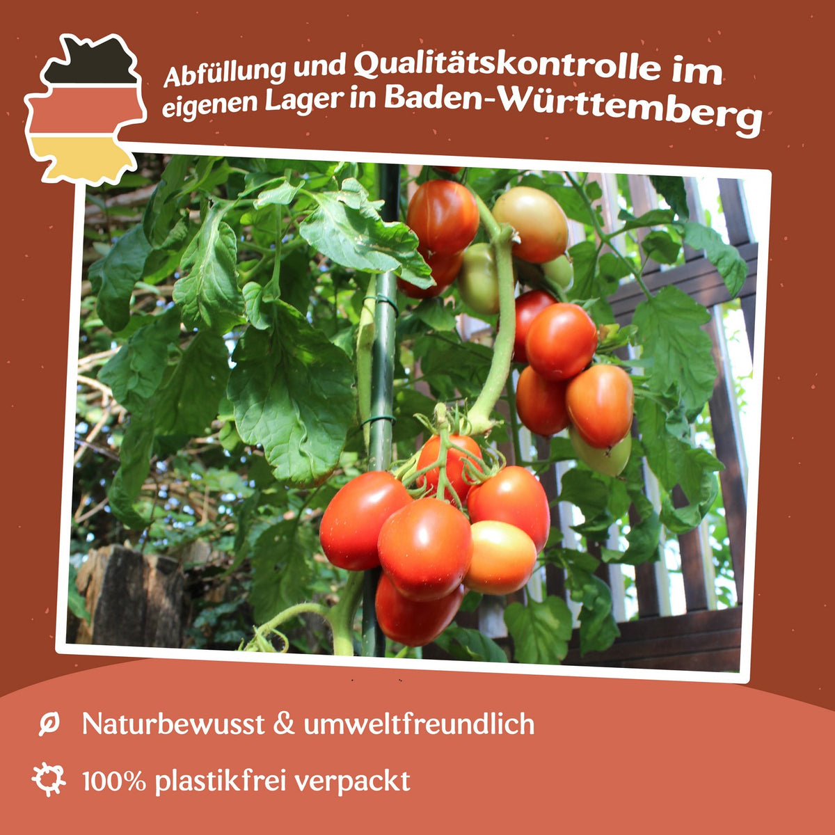 Rio Grande Tomatensamen