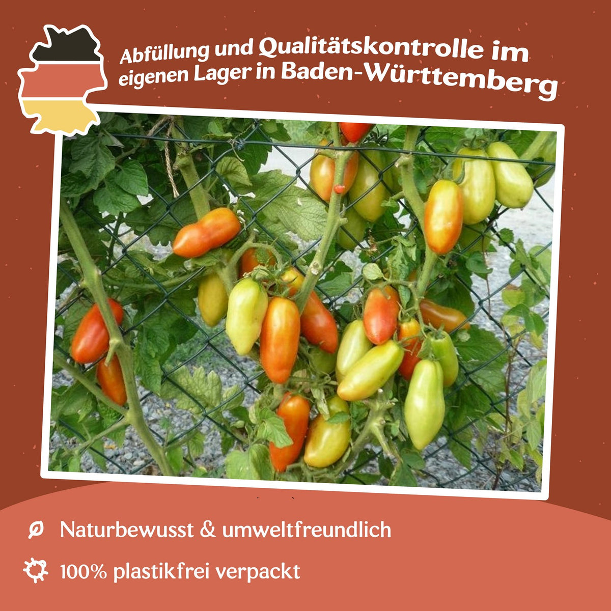 San Marzano 2 Tomatensamen