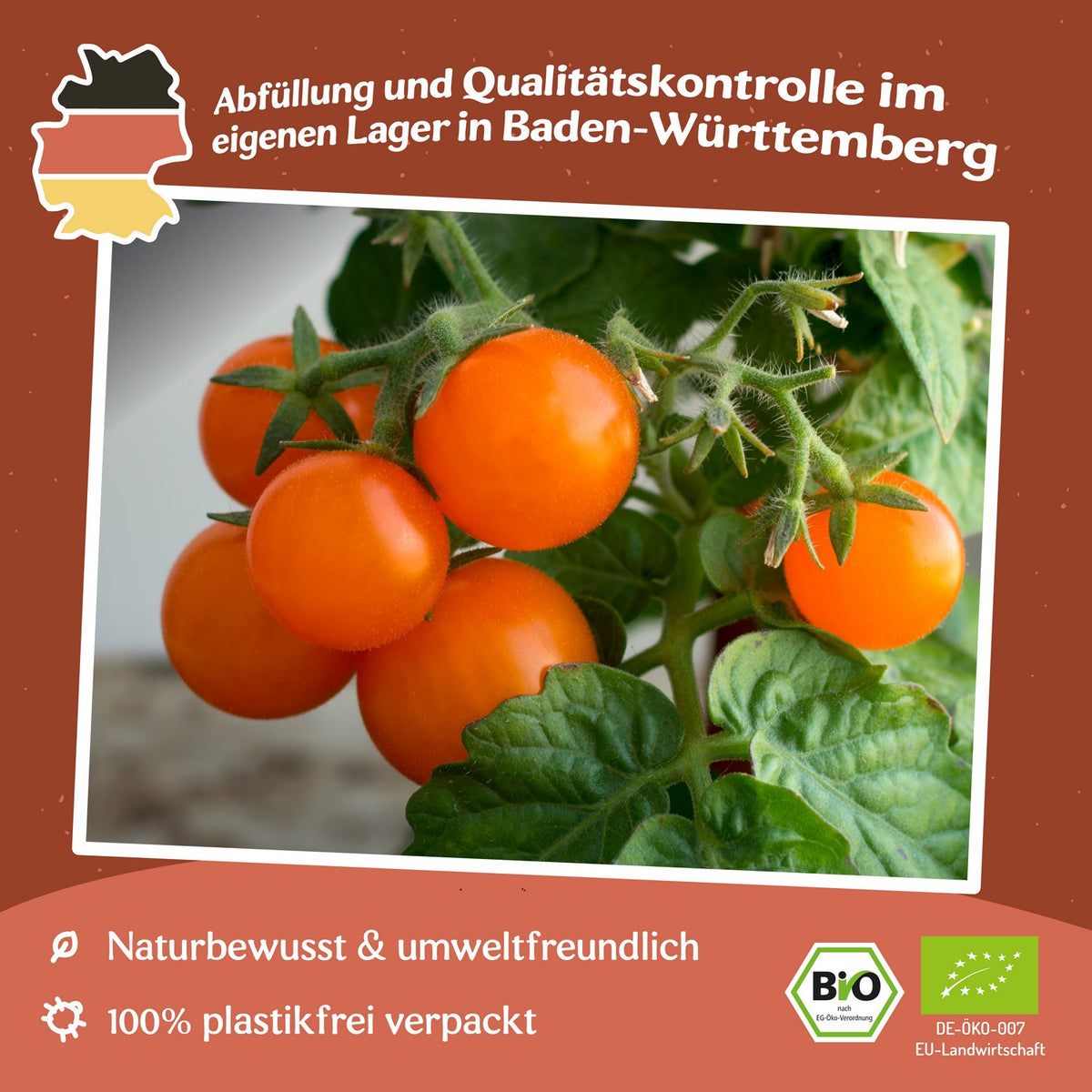 Orange Hat Bio-Tomatensamen