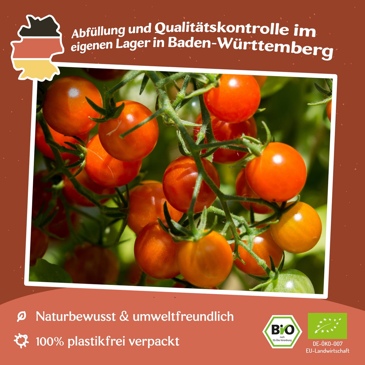 Barbaniaka Bio-Tomatensamen