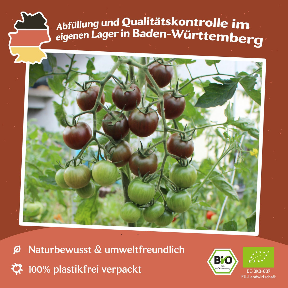 Black Cherry Bio-Tomatensamen