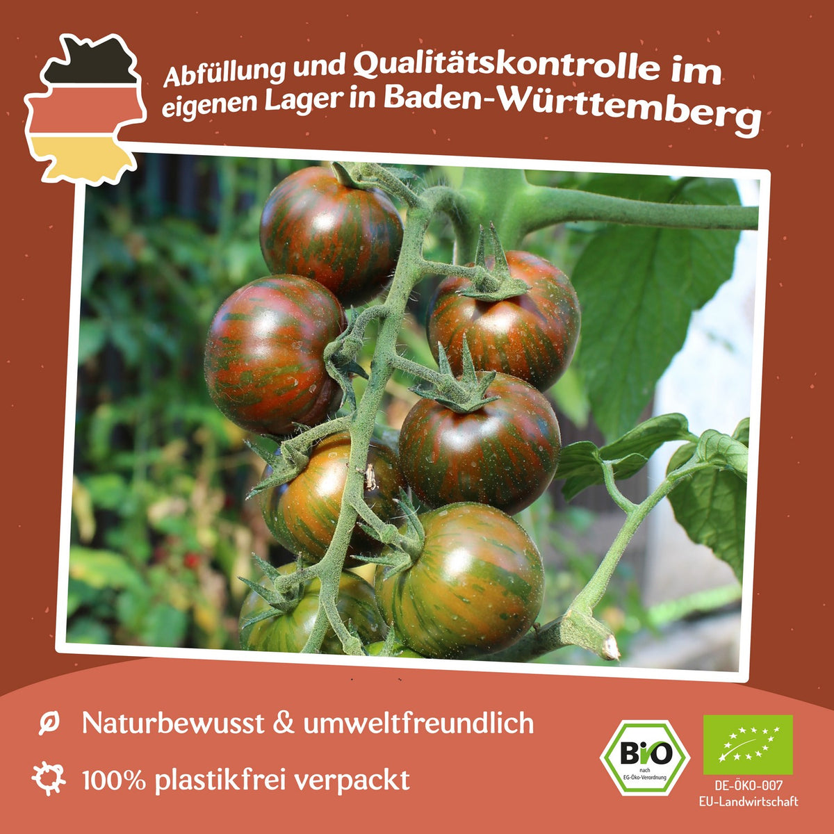 Black Zebra Cherry Bio-Tomatensamen
