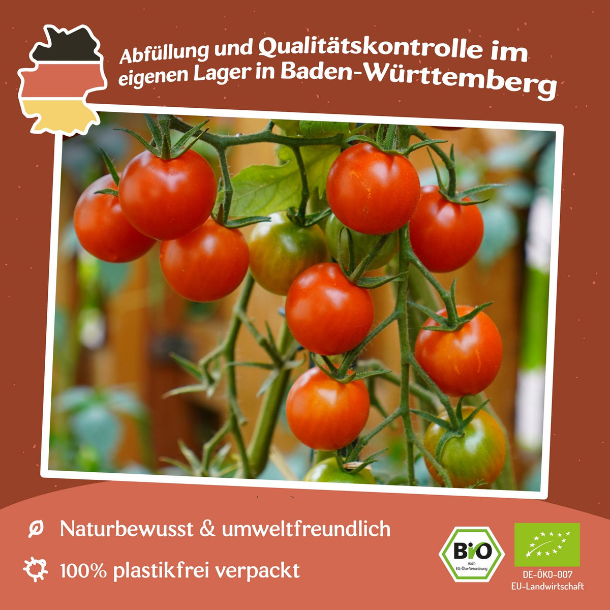 Cerise Bio-Tomatensamen