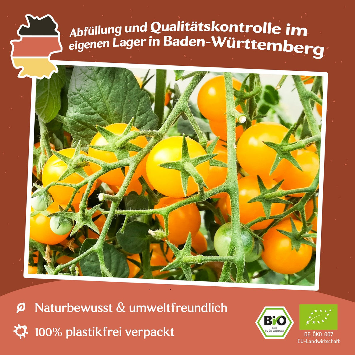 Gelbe Clementine Bio-Tomatensamen