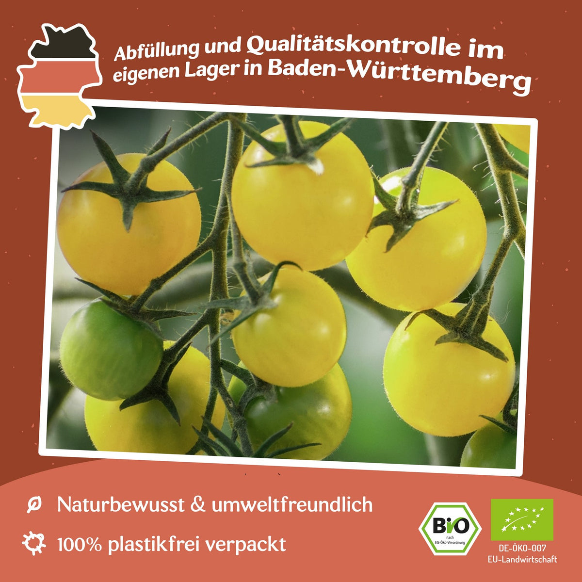 Coyote Bio-Tomatensamen