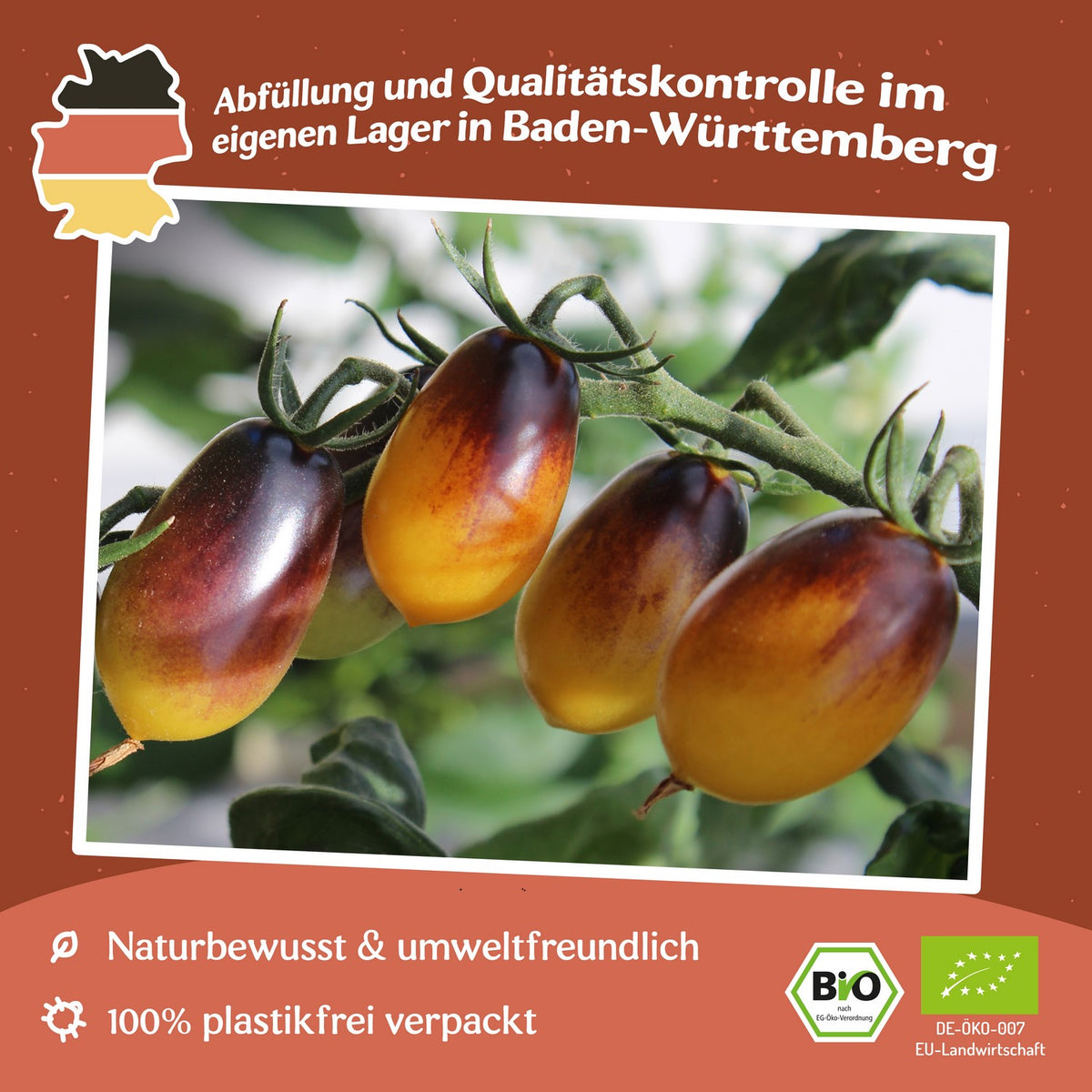 Indigo Pear Drops Bio-Tomatensamen