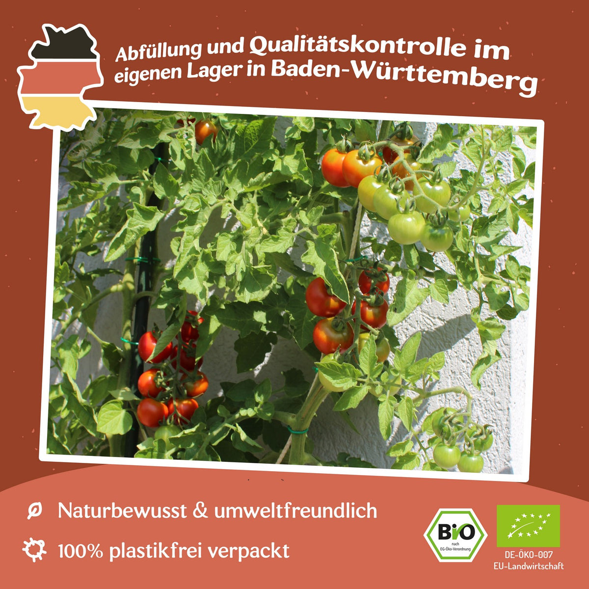 Resi Bio-Tomatensamen