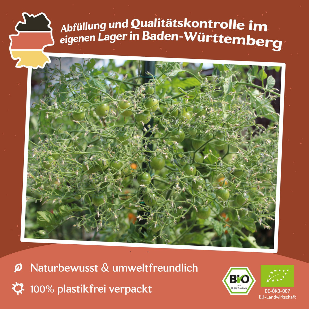 Rose Quartz Bio-Tomatensamen