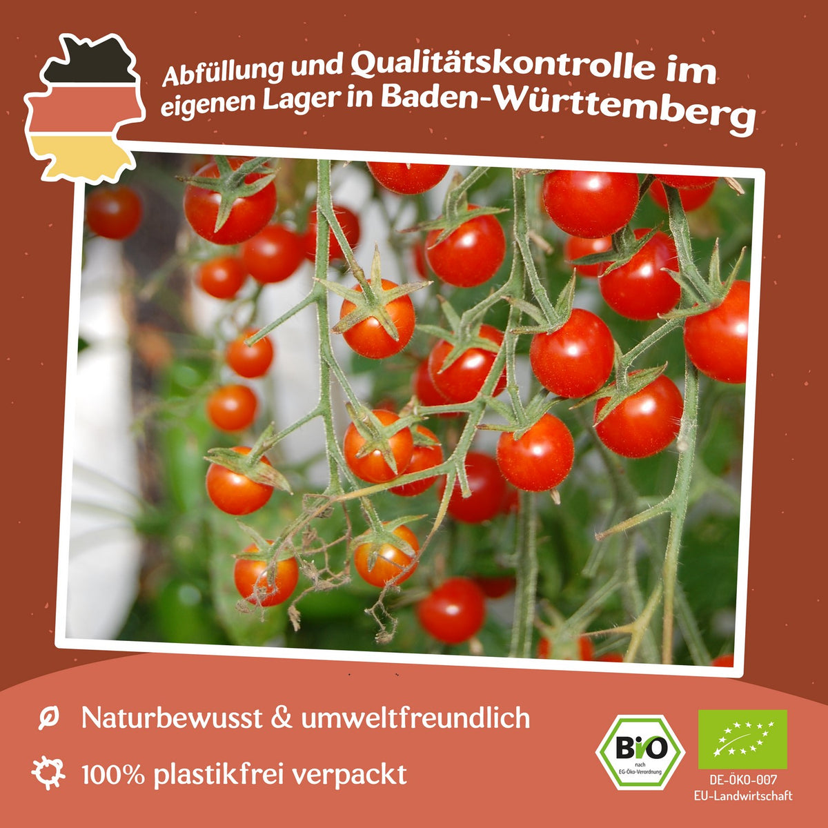 Rote Johannisbeere Bio-Tomatensamen