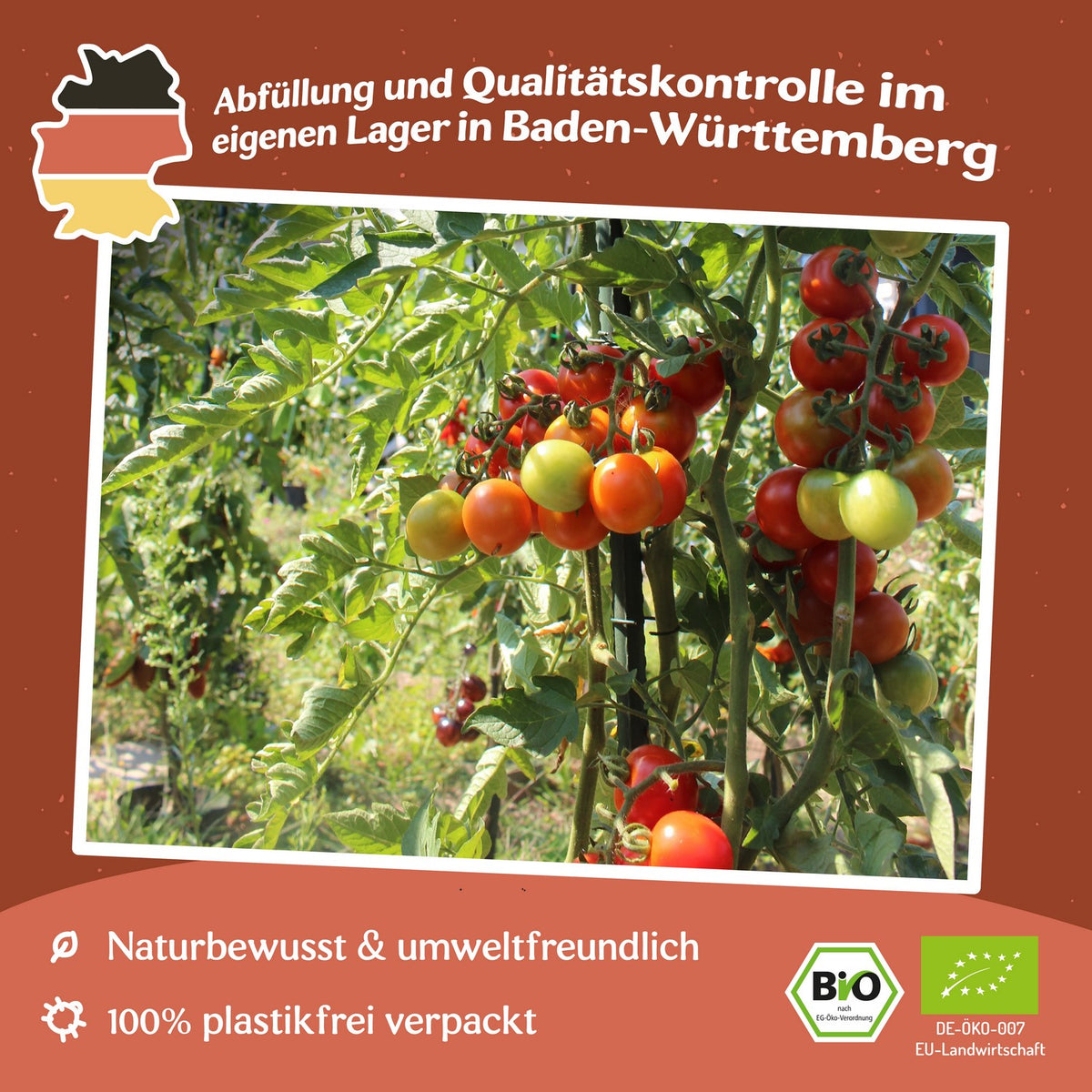 Rote Murmel Bio-Tomatensamen