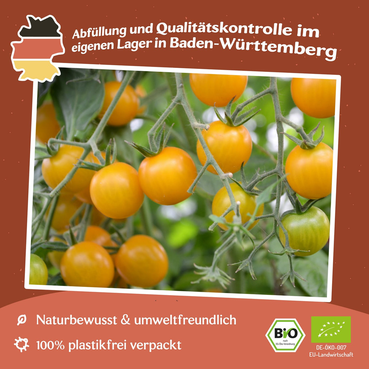 Sunviva Bio-Tomatensamen