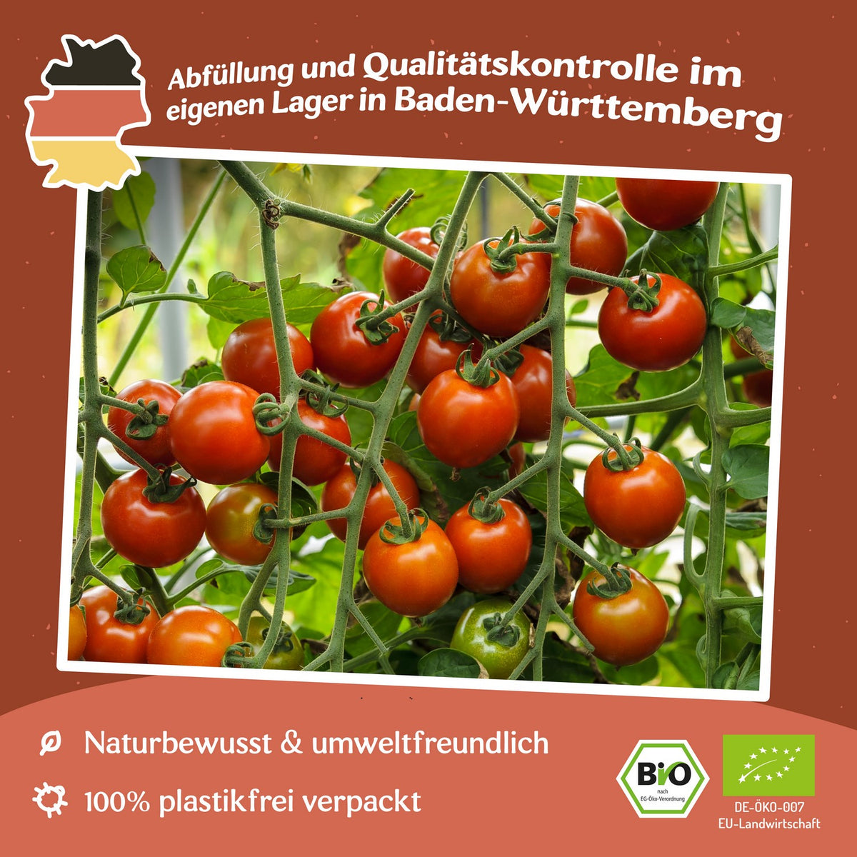 Zuckertraube Bio-Tomatensamen