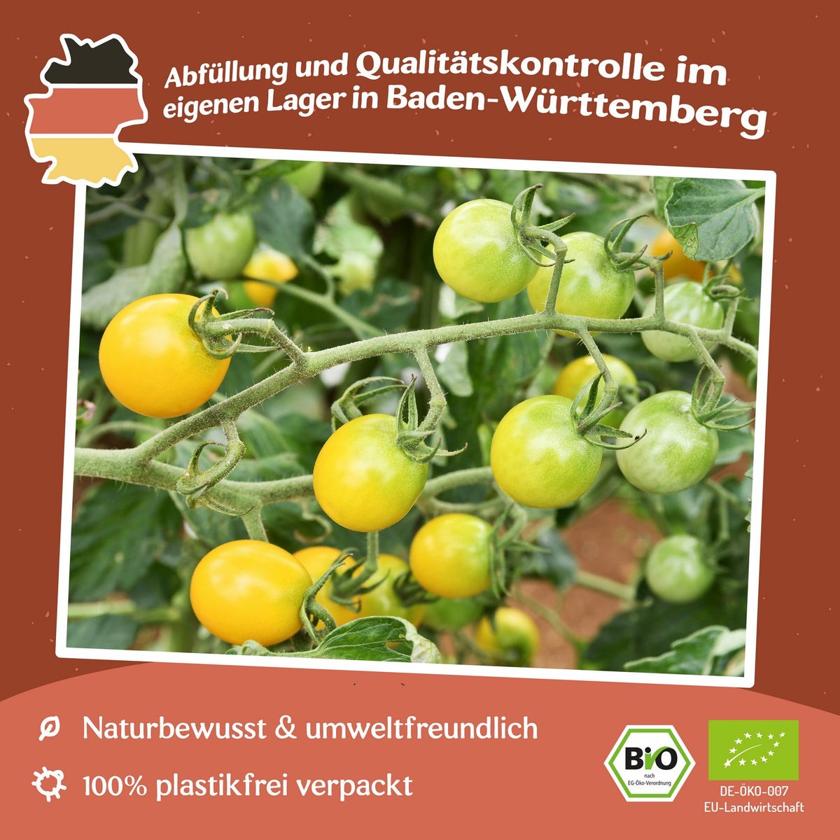 Snowberry Bio-Tomatensamen