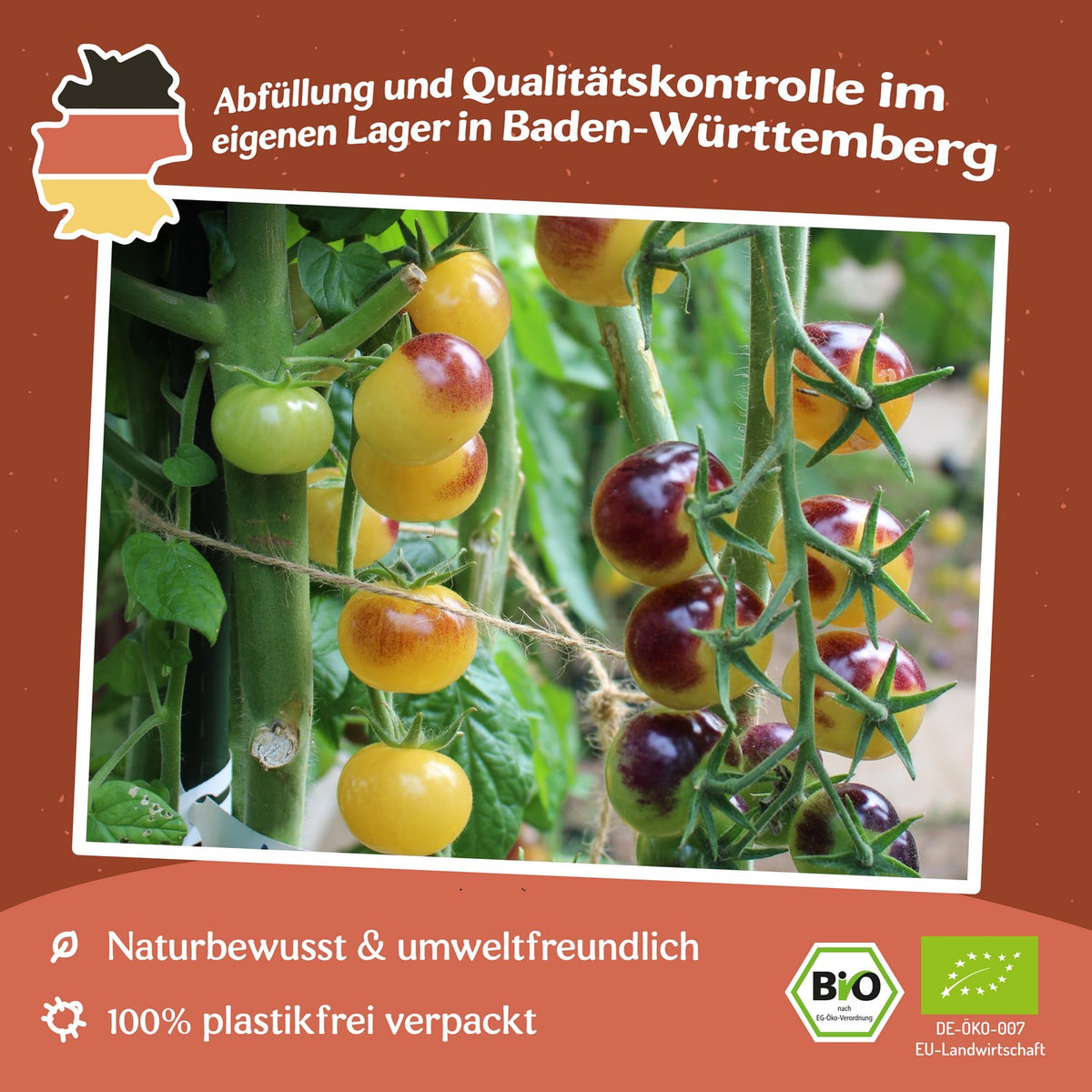 Blue Cream Berries Bio-Tomatensamen